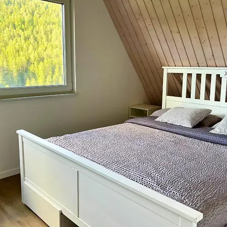 Holiday home Haus Loewe - Komplettes Am Badesee Erzgrube