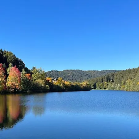 Haus Loewe - Komplettes Am Badesee 펜션 *
